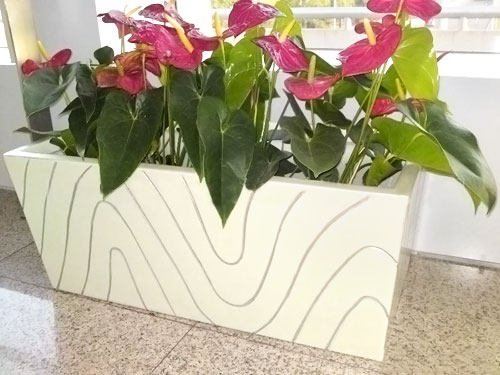 廣東玻璃鋼室內(nèi)景觀花盆